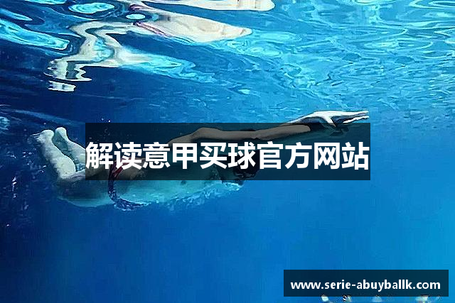 解读意甲买球官方网站